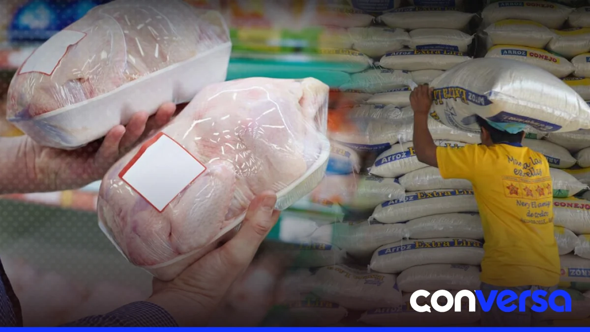 Granjas de producción de pollo en la región de Moca-Licey.