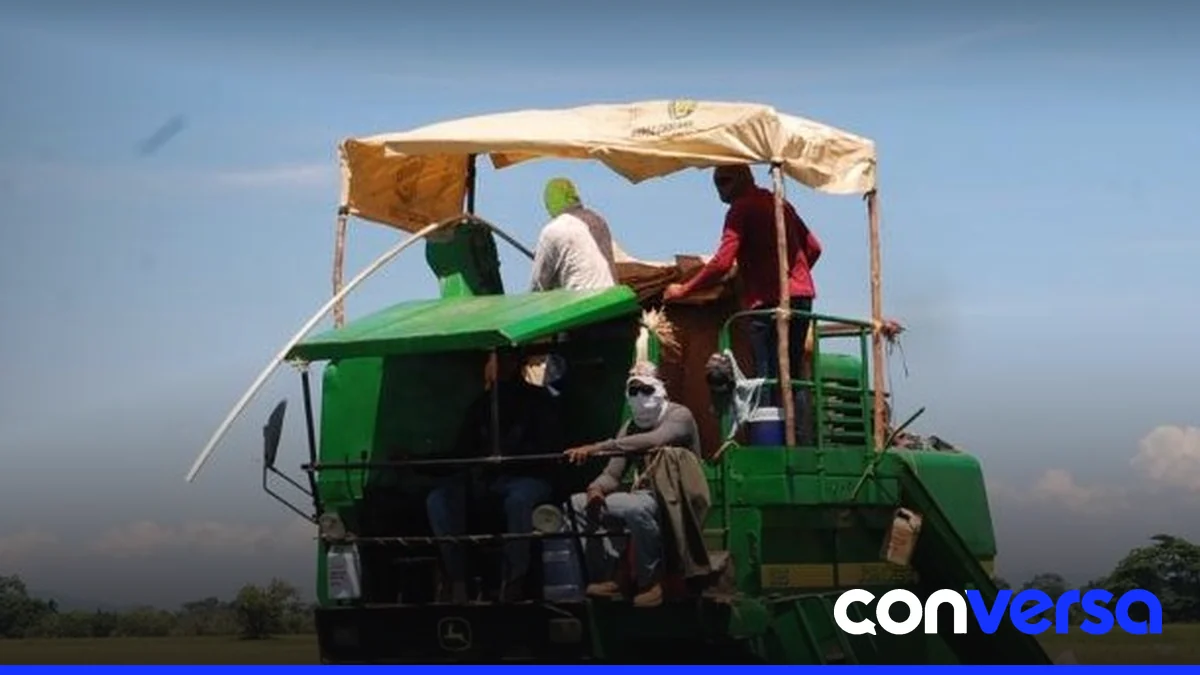 Productores de Montecristi participan en una concentración para reclamar al gobierno medidas ante la apertura del mercado al arroz estadounidense.