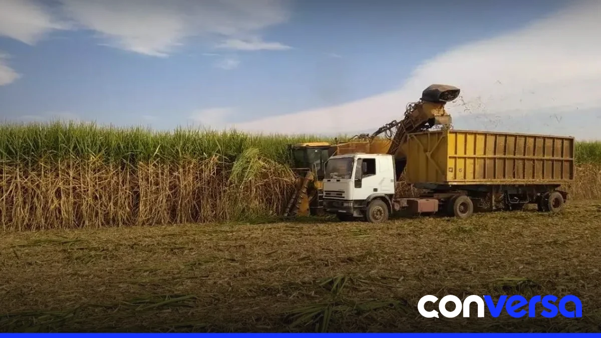 Imagen de un ingenio azucarero en la República Dominicana.