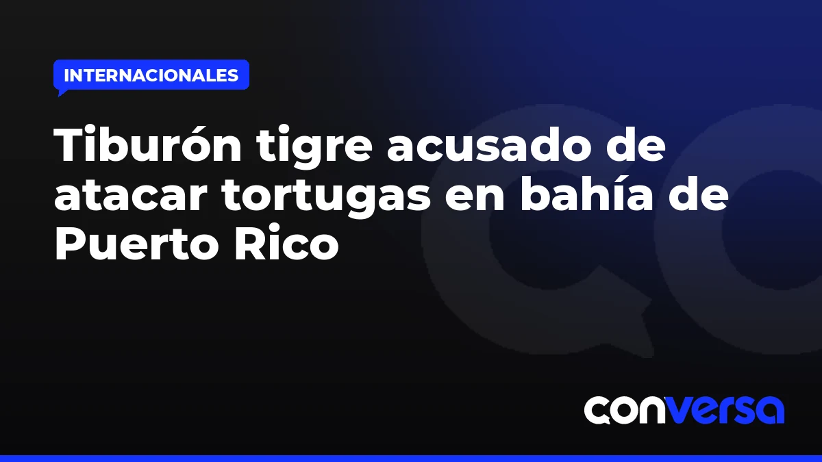 Tiburón tigre acusado de atacar tortugas en bahía de Puerto Rico