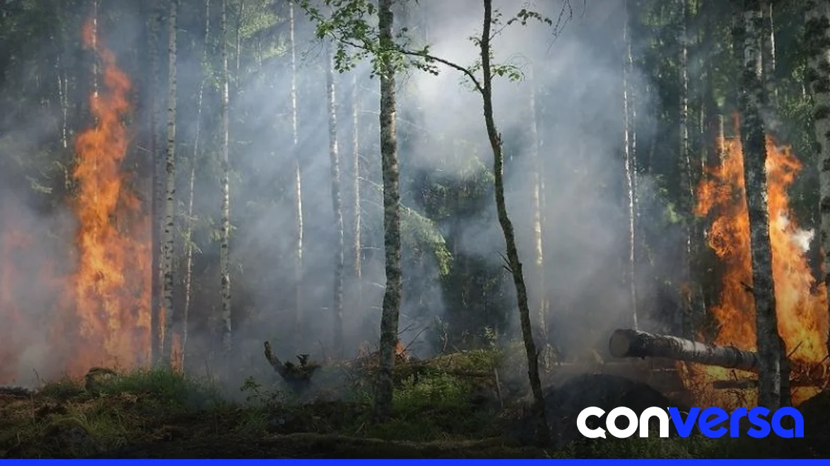 Representación simbólica del daño ambiental causado por actividades extractivas y la necesidad de regulación legal.