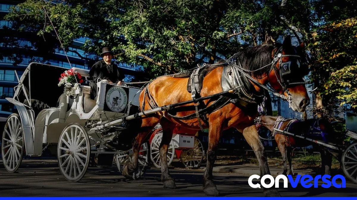Carruaje tirado por caballos en las calles de Manhattan.