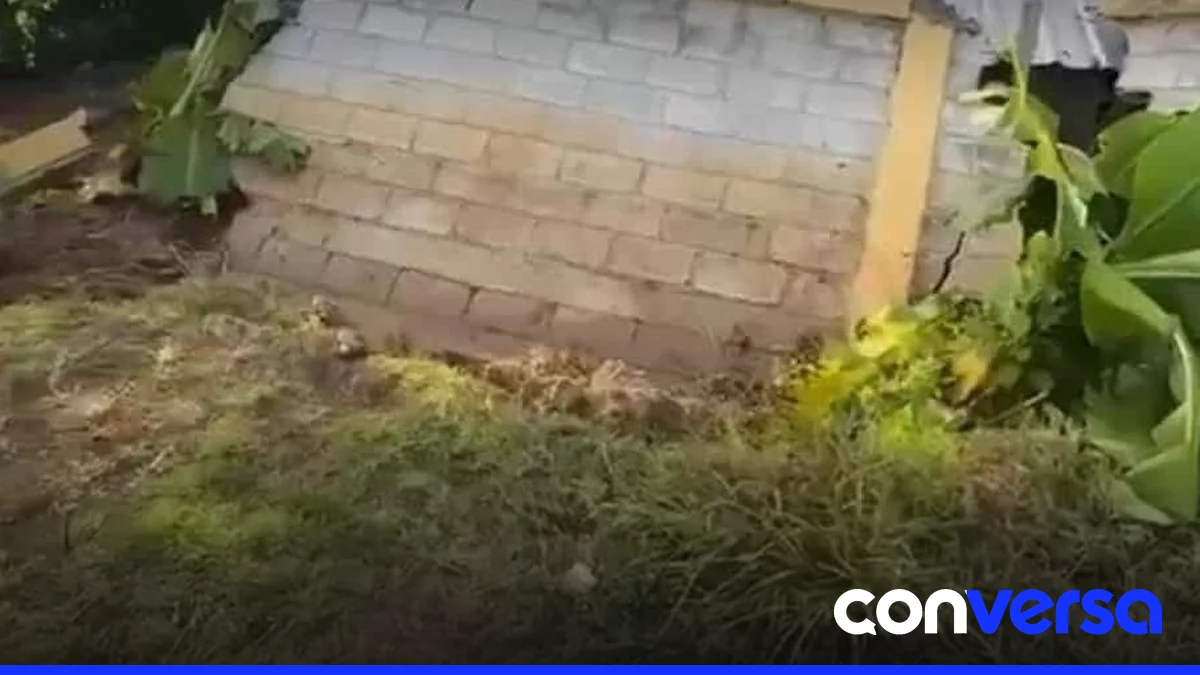 Imagen de la pared colapsada del liceo Ramón Marte Pichardo en la comunidad de Río.