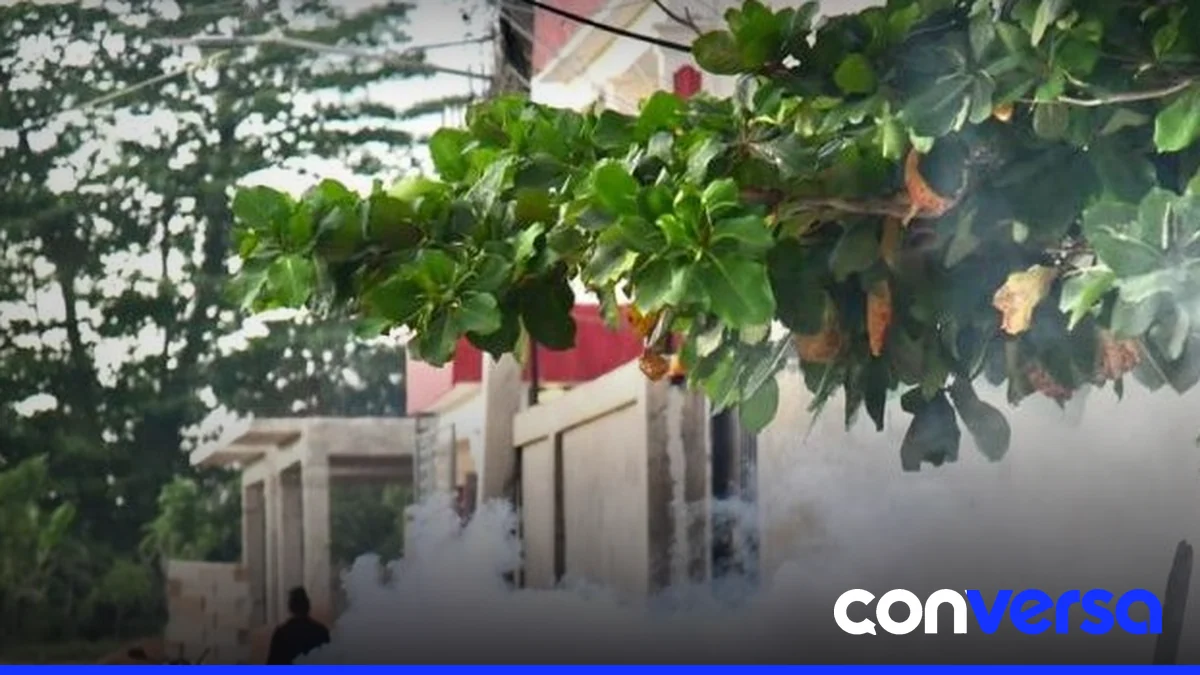Operativos de fumigación y limpieza en zonas de alto riesgo de dengue.