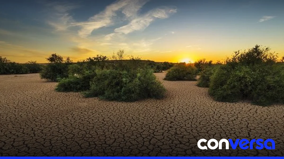 Representación simbólica del impacto del cambio climático en la salud global.