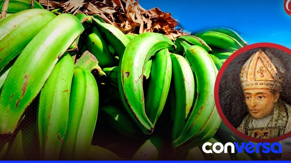 Imagen de un plátano en una cocina dominicana, con utensilios de cocina y ingredientes típicos de la gastronomía local.
