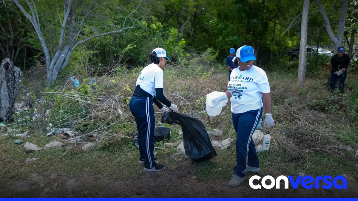 Estudiantes y colaboradores de una empresa participan en la limpieza del santuario de mamíferos marinos de Estero Hondo.
