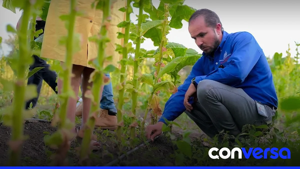 Imagen de un sistema de riego moderno en una finca agrícola.