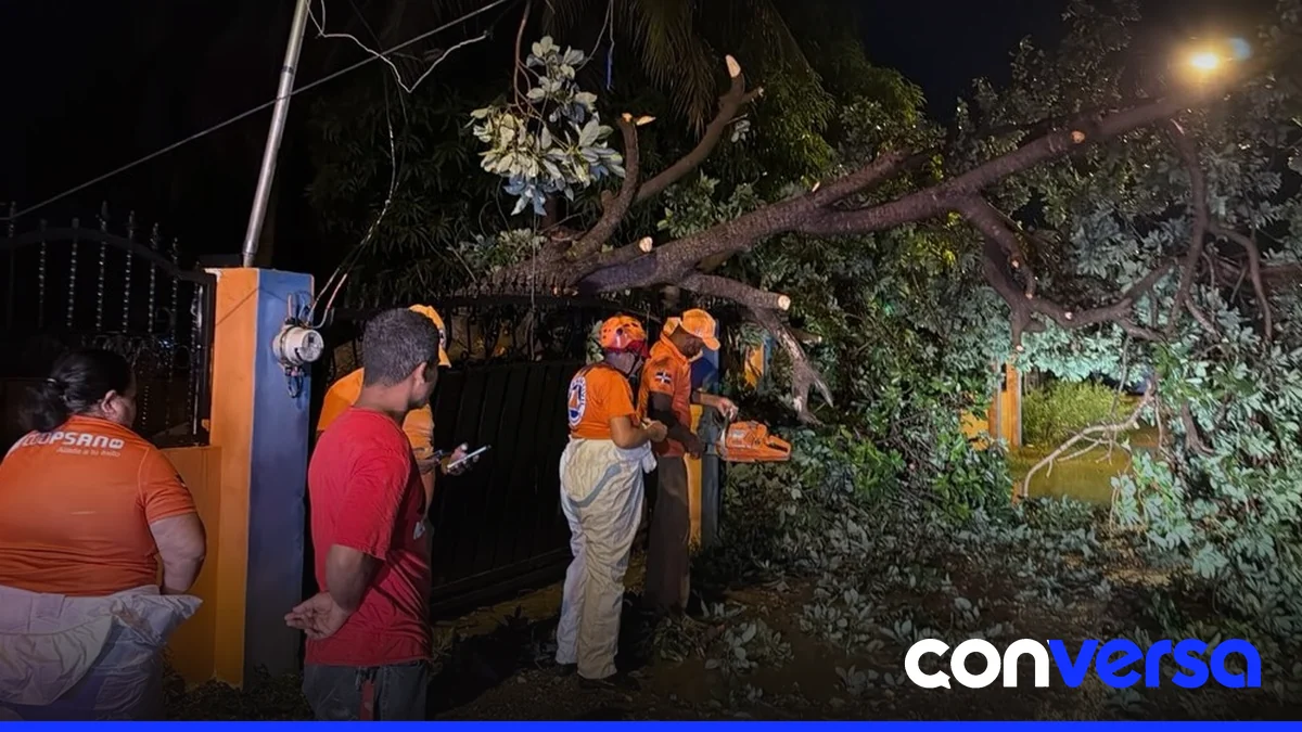 Árboles derribados por la tormenta en el municipio de Mao.