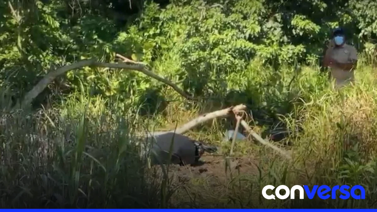 Familiares del joven desaparecido en Nagua en el lugar del hallazgo del cuerpo.