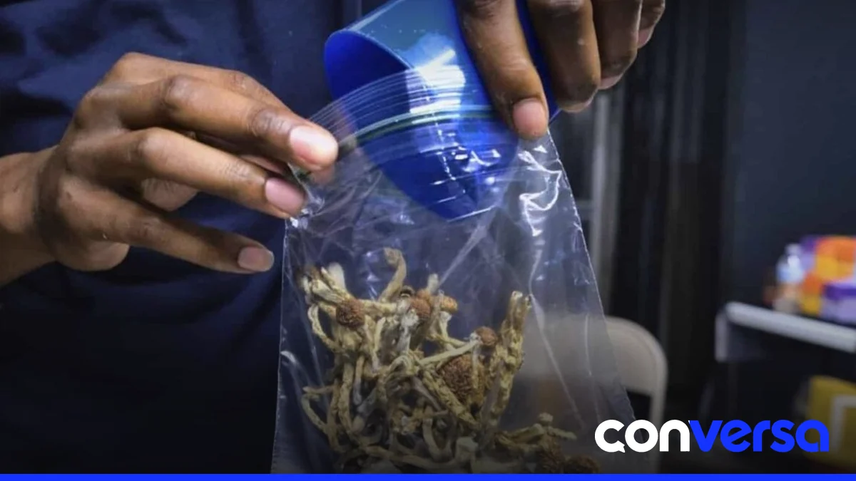 Imagen de paquetes de marihuana empaquetados con diseños sofisticados, según el informe de los carabinieri.