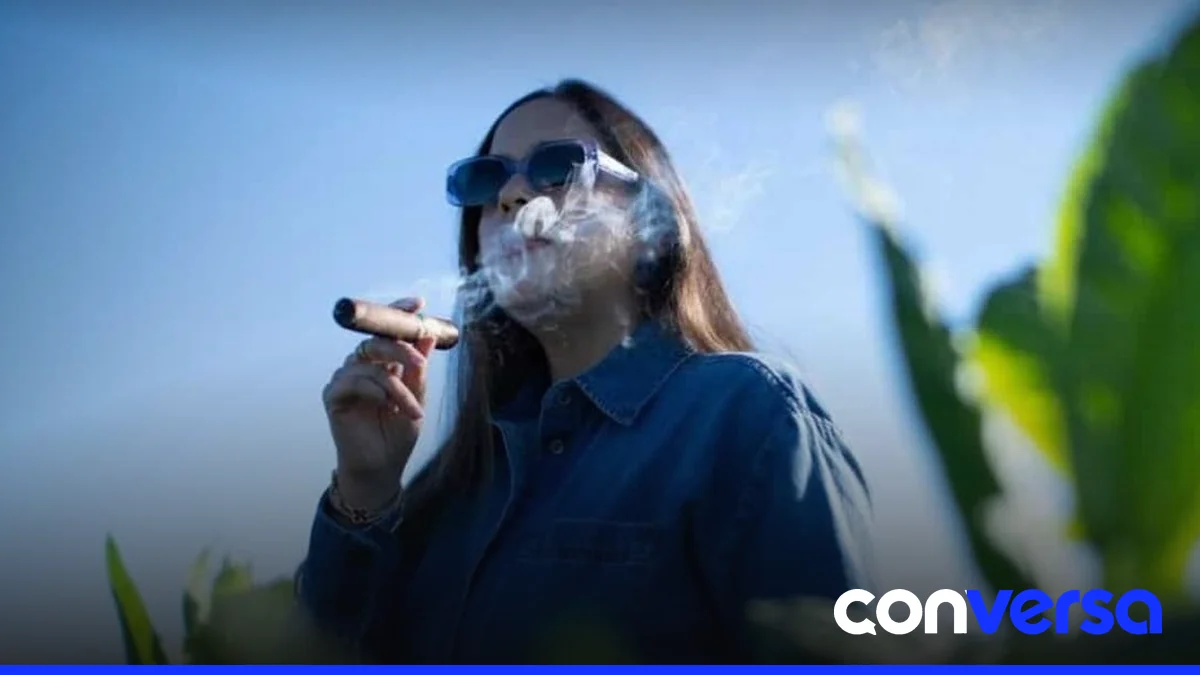 Cine dominicano y sus propuestas cinematográficas en salas de todo el país.