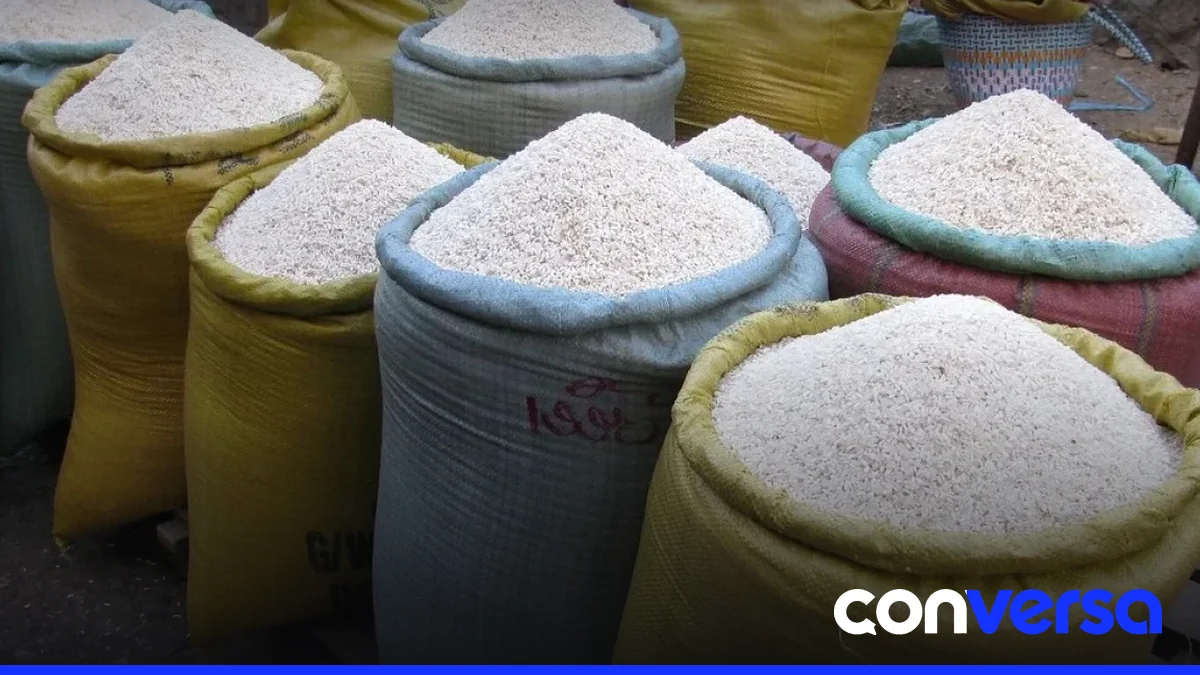 Imagen de un campo de arroz en la República Dominicana.