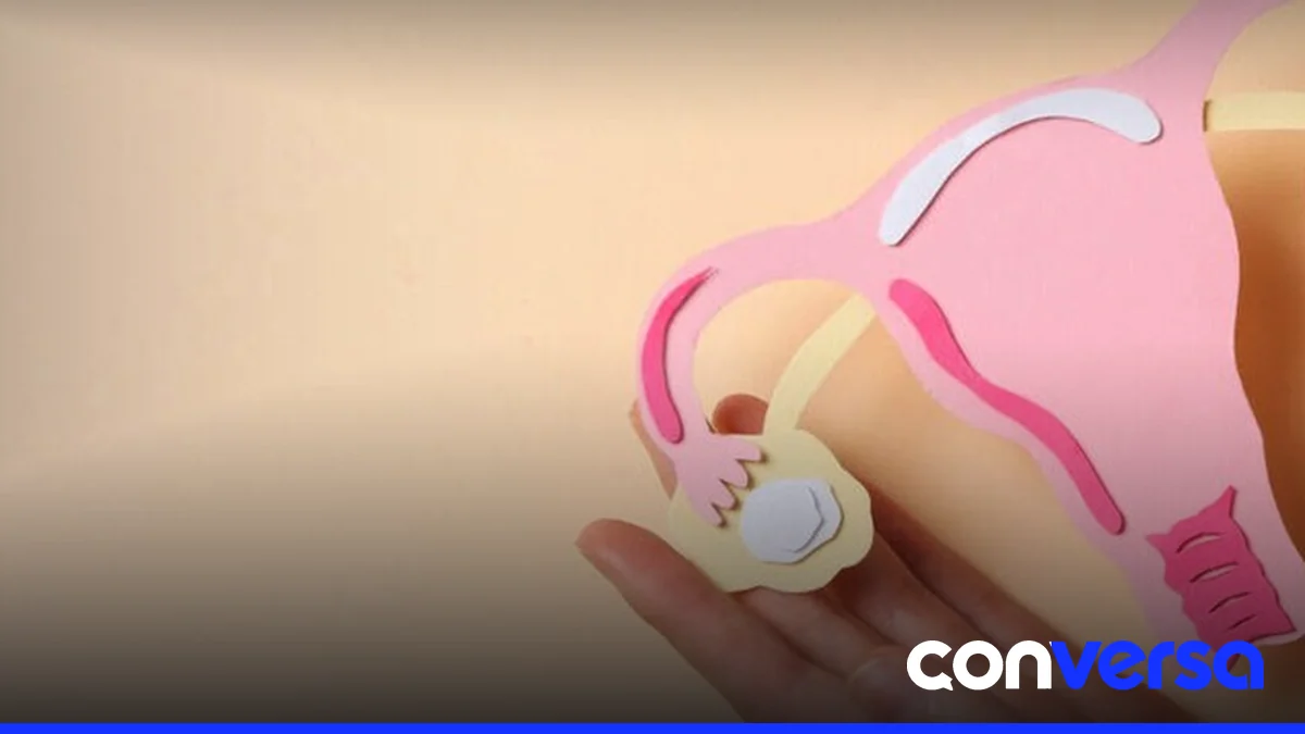 Imagen ilustrativa de la anatomía femenina y el endometrio.