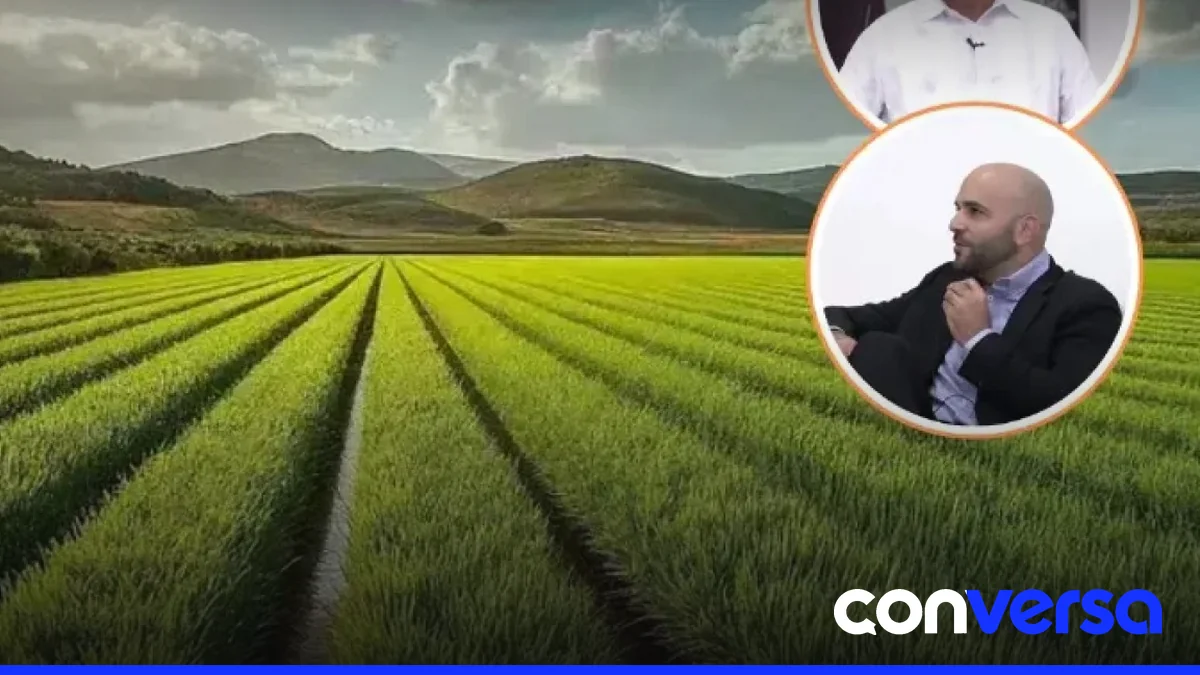 Productores de arroz en el campo, reflejando la situación del sector ante la liberalización del arroz importado.
