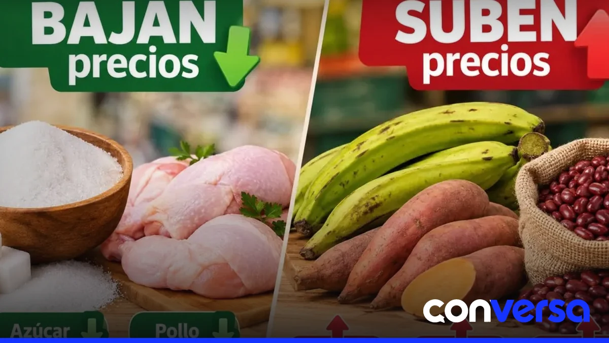 Mercado de Santo Domingo con productos frescos y de consumo diario.