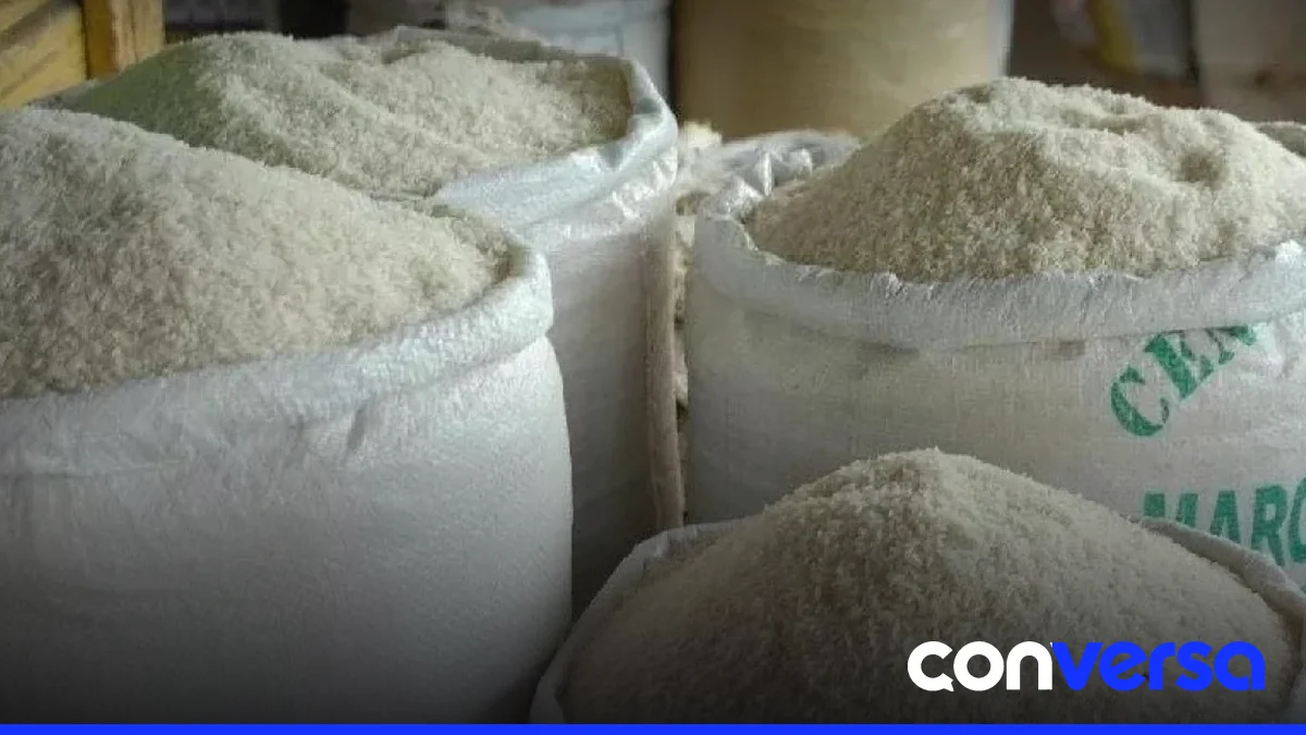 Imagen de un campo de arroz en la República Dominicana.